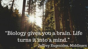Difference between brain and mind quote