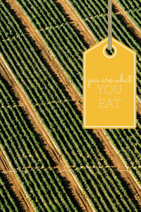 You are what you eat--good or bad.