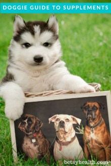 Supplements for common canine problems